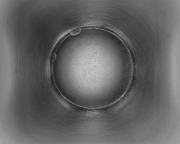 X0000112740838200908201345