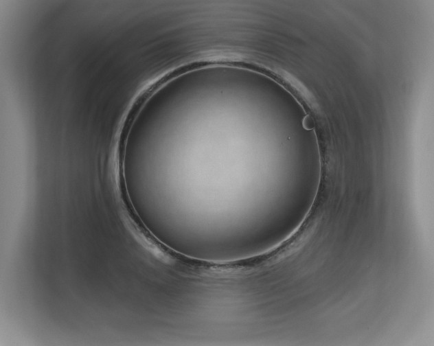 X0000112740840200908201345