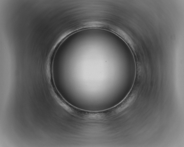 X0000112740843200908201345