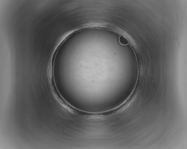 X0000112740844200908201345