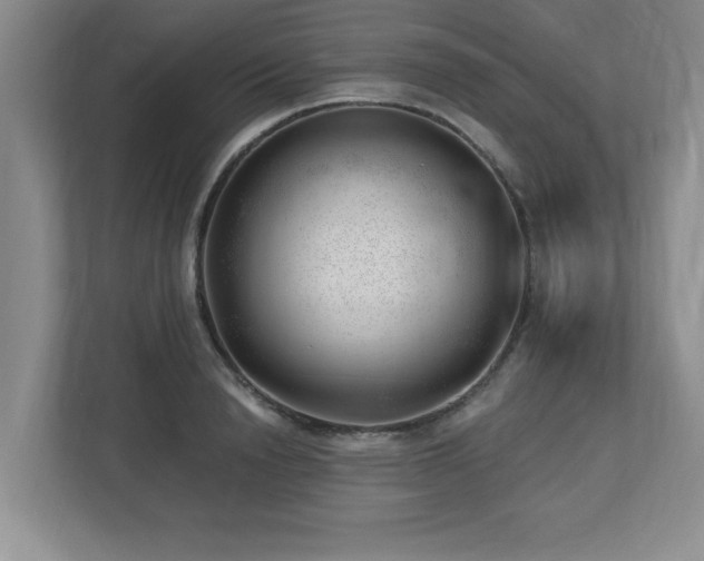 X0000112740846200908201345
