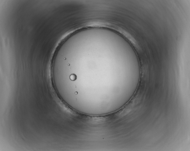 X0000112740848200908201345