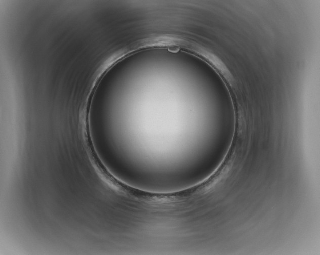X0000112740850200908201345
