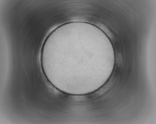 X0000112740856200908201345