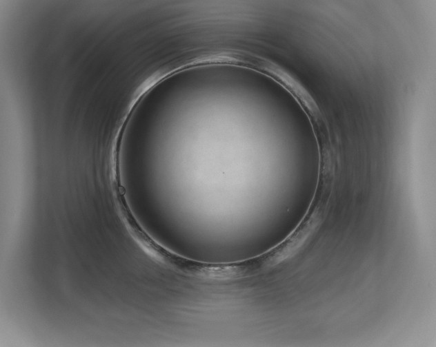 X0000112740858200908201345