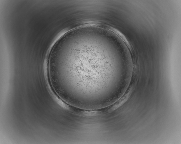 X0000112740859200908201345