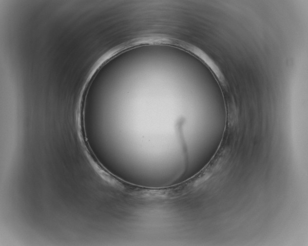 X0000112740861200908201345