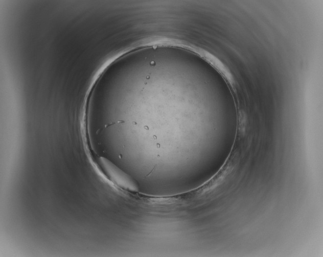 X0000112740863200908201345