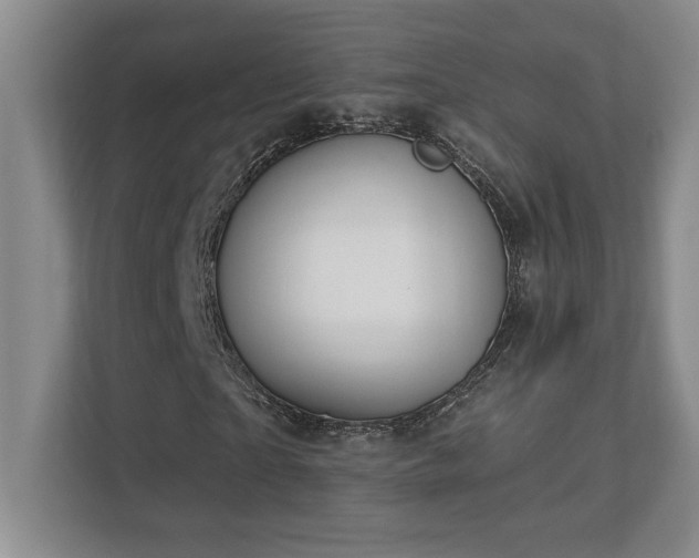 X0000112740865200908201344