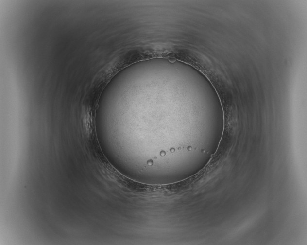 X0000112740866200908201344