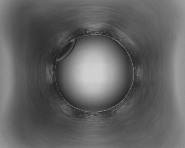 X0000112740868200908201344