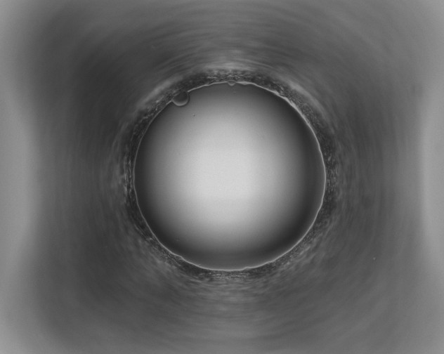 X0000112740870200908201344