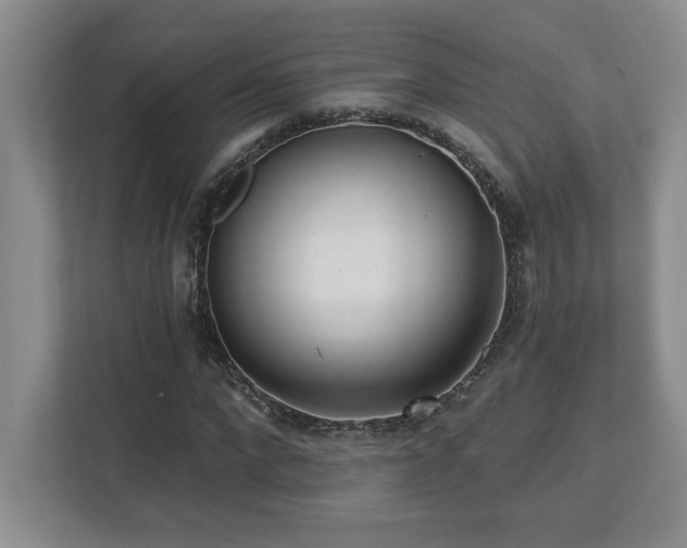 X0000112740872200908201344