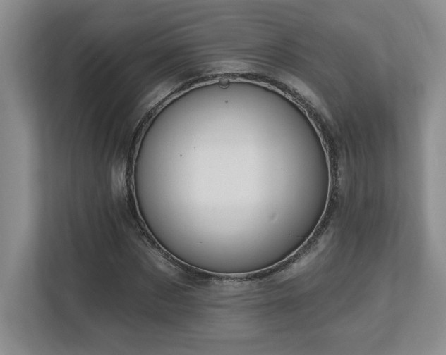 X0000112740873200908201344