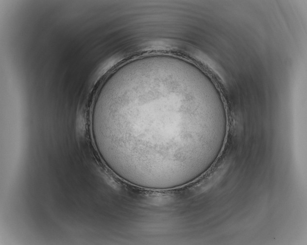 X0000112740874200908201344