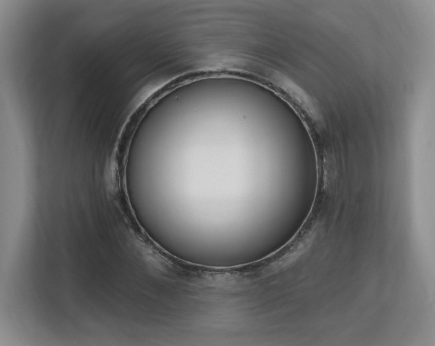 X0000112740876200908201344