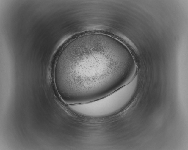 X0000112740878200908201344
