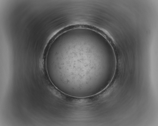 X0000112740879200908201344