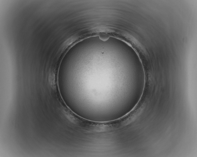 X0000112740881200908201344