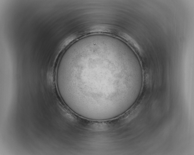 X0000112740882200908201344