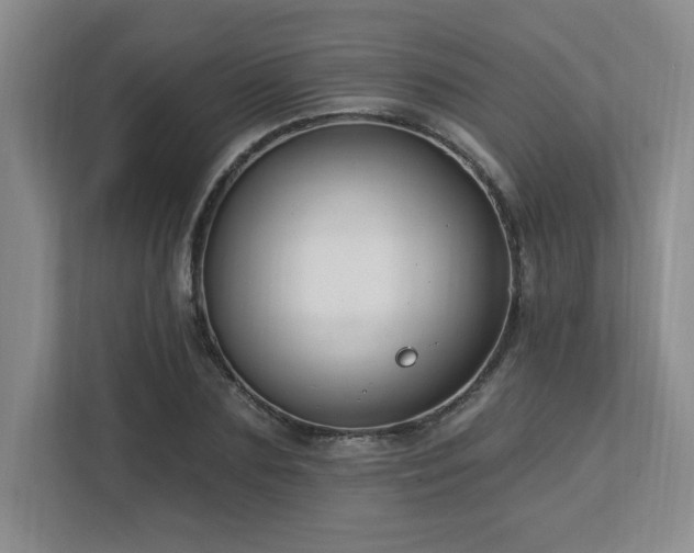 X0000112740883200908201344