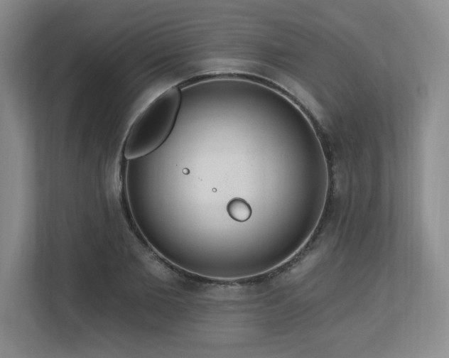 X0000112740885200908201344