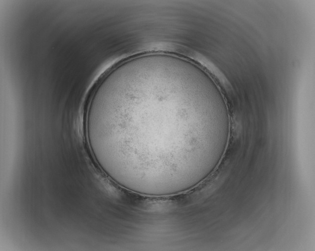 X0000112740886200908201344