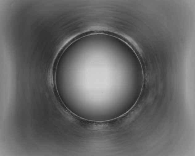 X0000112740887200908201344