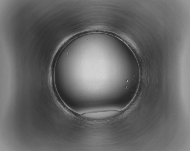 X0000112740888200908201344