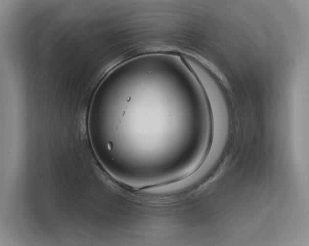 X0000112740889200908201344