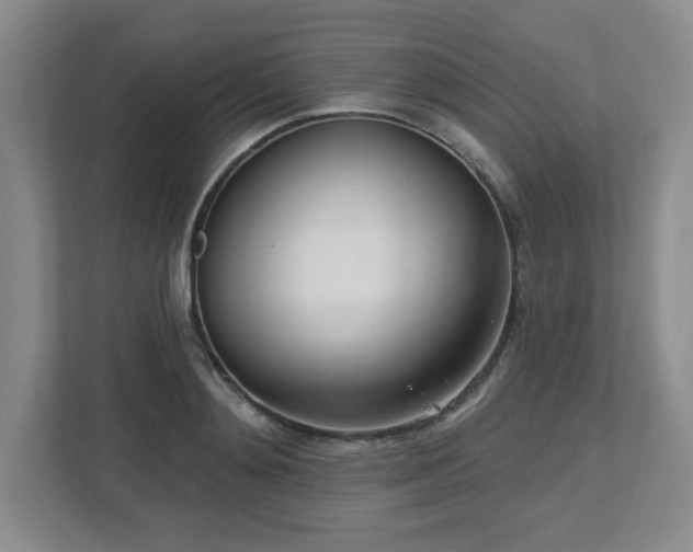 X0000112740892200908201344