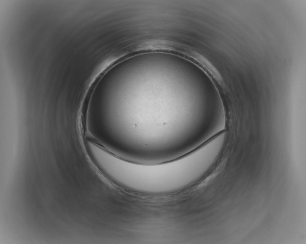 X0000112740893200908201344