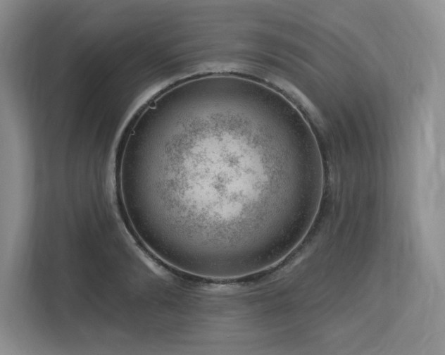 X0000112740894200908201344