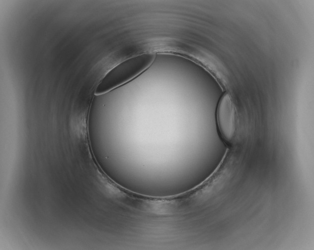 X0000112740897200908201344