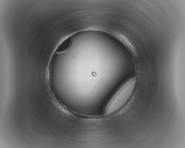 X0000112740900200908201344