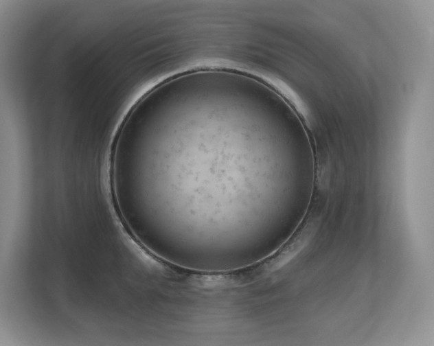 X0000112740903200908201344