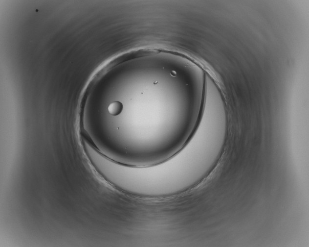 X0000112740904200908201344