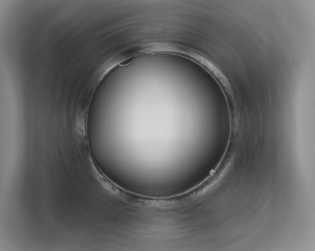 X0000112740905200908201344
