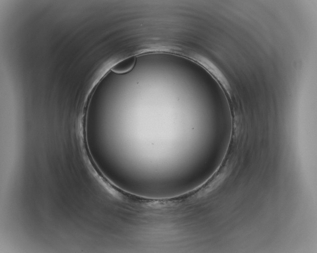 X0000112740906200908201344