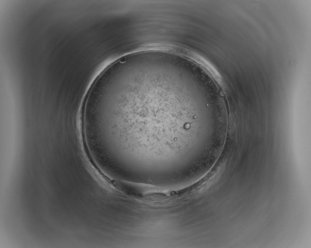 X0000112740907200908201344