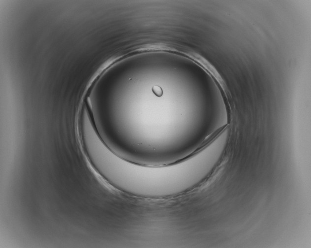 X0000112740909200908201344