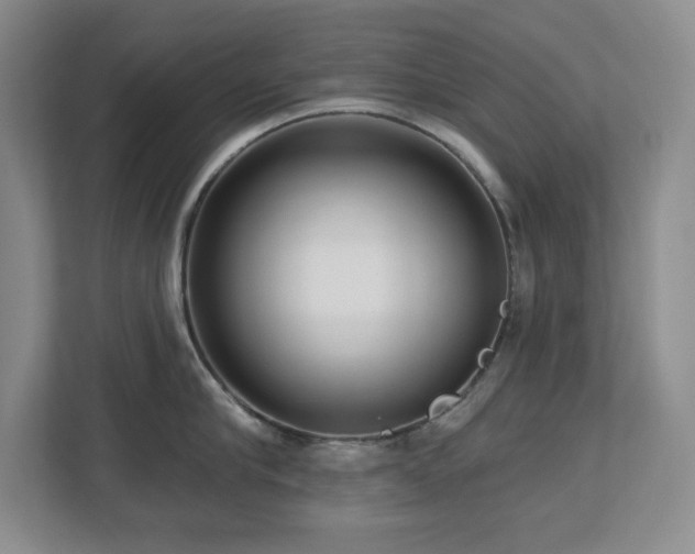 X0000112740910200908201344