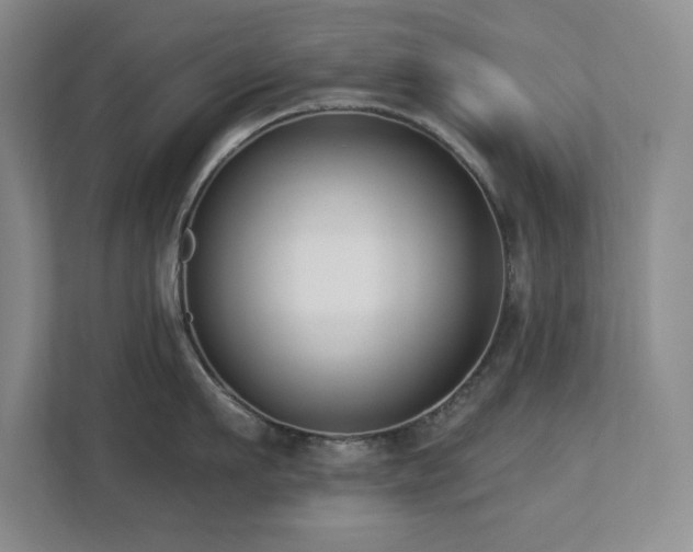 X0000112740911200908201344