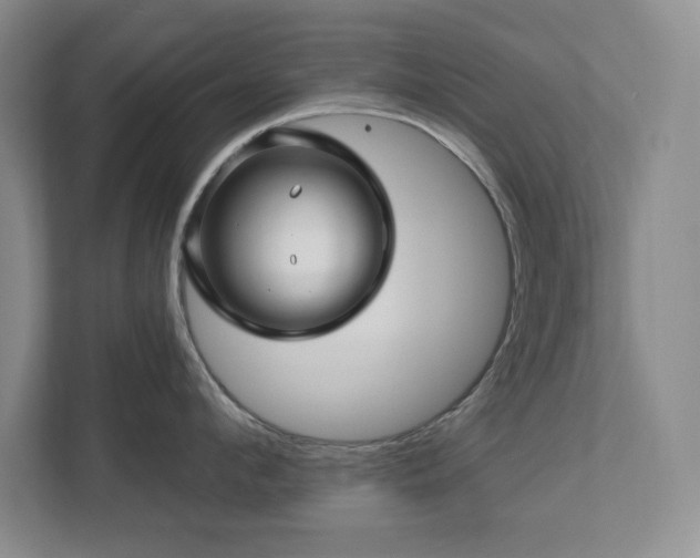 X0000112740912200908201344