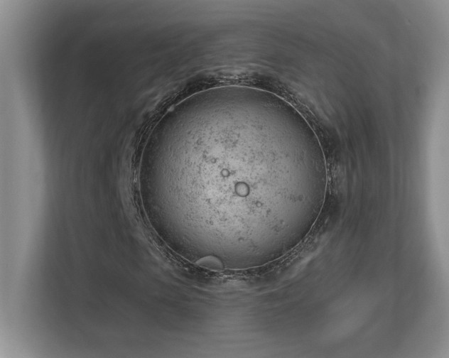 X0000112740913200908201343