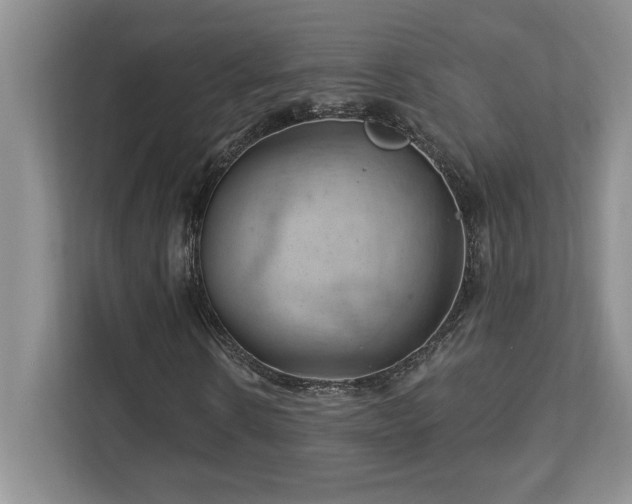 X0000112740914200908201343