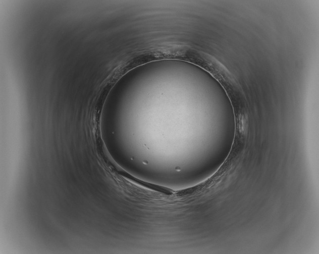 X0000112740915200908201343