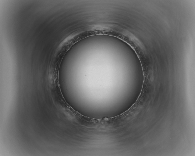 X0000112740920200908201343