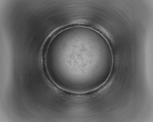 X0000112740923200908201343