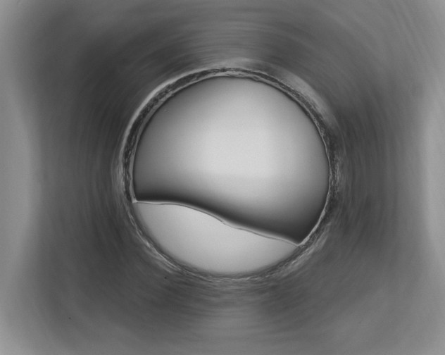 X0000112740924200908201343